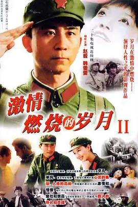 激情燃烧的岁月第二季